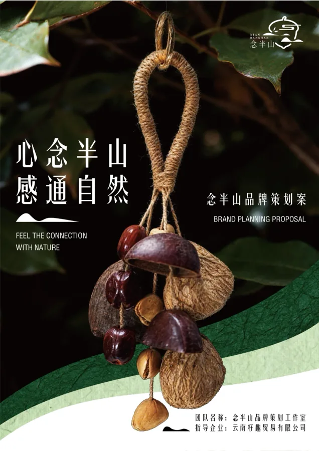 念半山品牌策划案封面